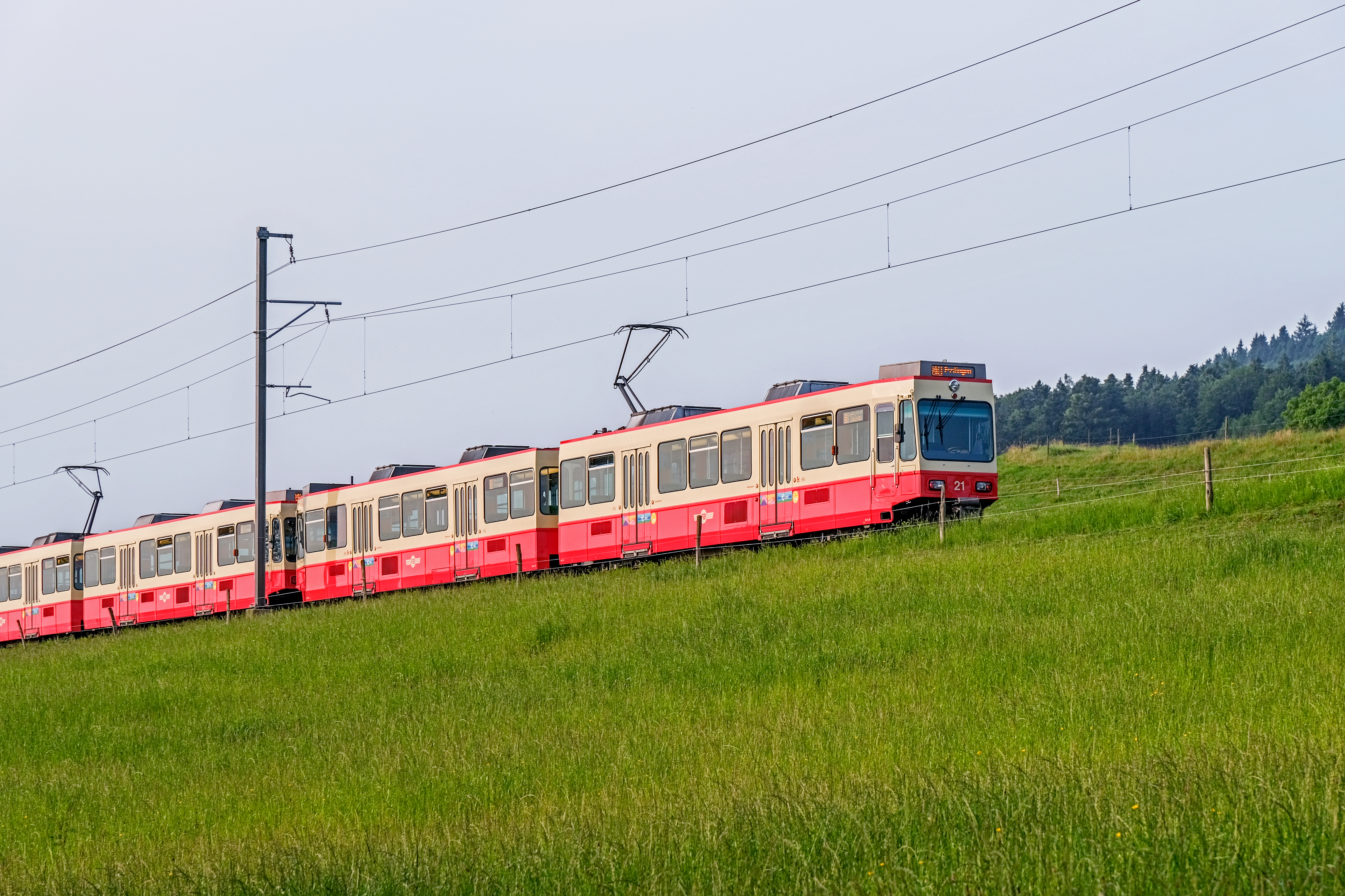 XT3F4862